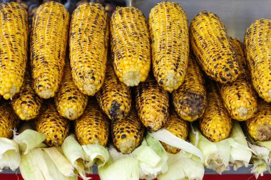 Mısır kebap, Türk sokak lezzet. Tam kare