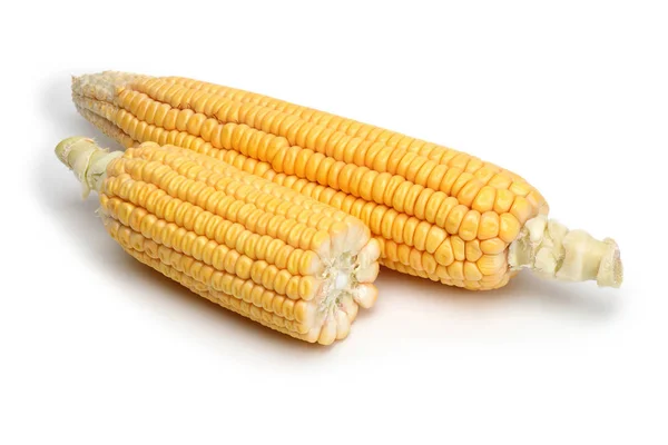 Свежая Кукуруза Белом Фоне — стоковое фото