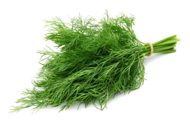 Taze yeşil dereotu beyaz arkaplanda izole edildi