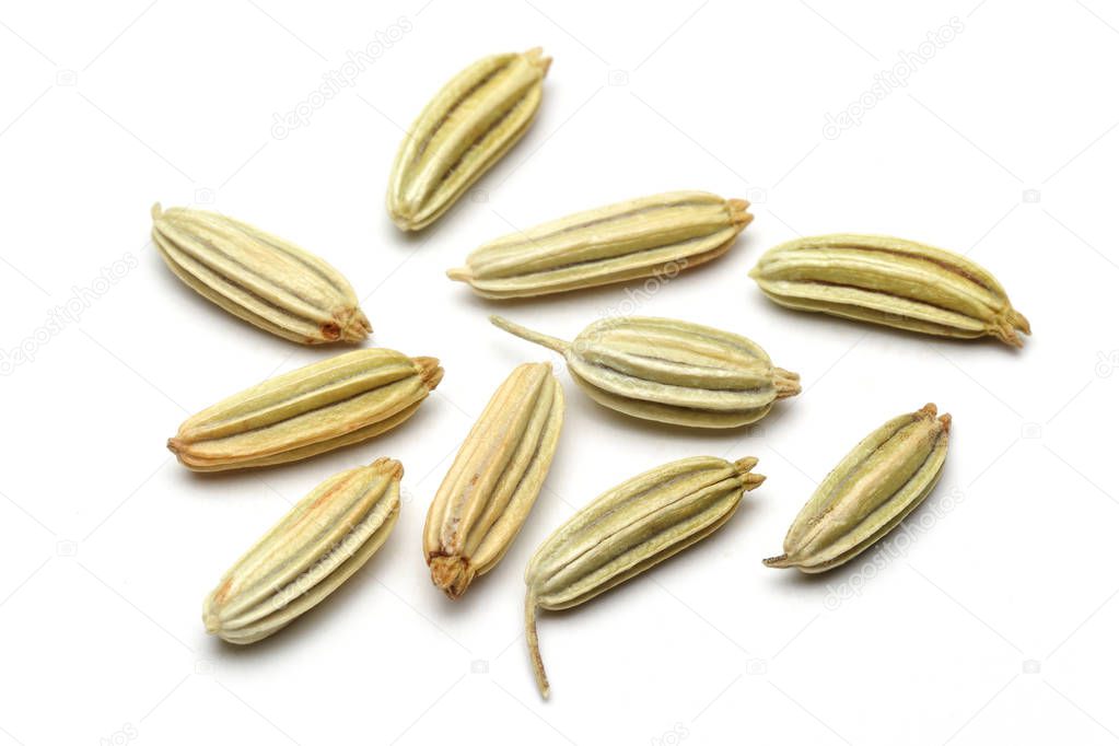 Dried fennel seeds isolated on white background, macro shot