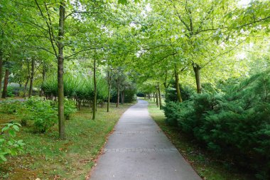 Geçit park yeşil ağaçların arasında