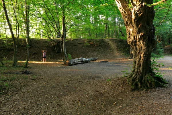 一个女人在树林里做运动 水平全框架 — 图库照片
