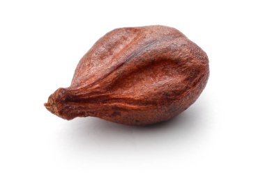 Beyaz arka plan üzerinde izole tek üzüm çekirdeği