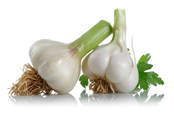 Fresh Garlic Bulbs Parsley Leaves Isolated White Background — Stock Photo, Image