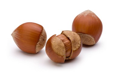 Beyaz arka plan üzerinde izole fındık. Makro, stüdyo vurdu.