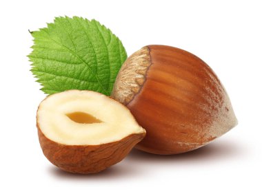 Fındık ve izole üzerinde beyaz arka plan yapraklar