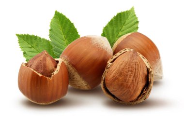 Fındık ve izole üzerinde beyaz arka plan yapraklar