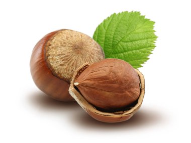 Fındık ve izole üzerinde beyaz arka plan yapraklar