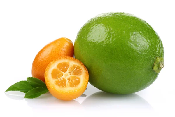 Kumquats와 배경에 — 스톡 사진