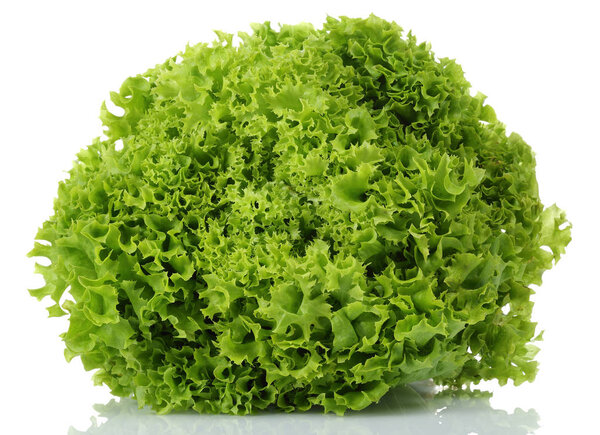Fresh lettuce isolated on white background