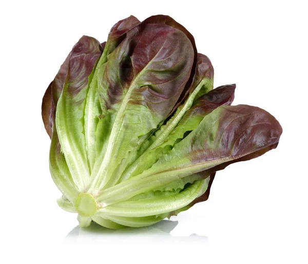 Lechuga Roja Fresca Aislada Sobre Fondo Blanco — Foto de Stock