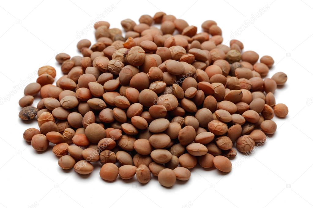 Brown Lentil isolated on white background
