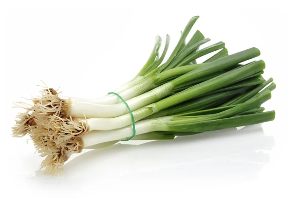 Bunch Fresh Spring Onion Isolated White Background — Stock Photo, Image