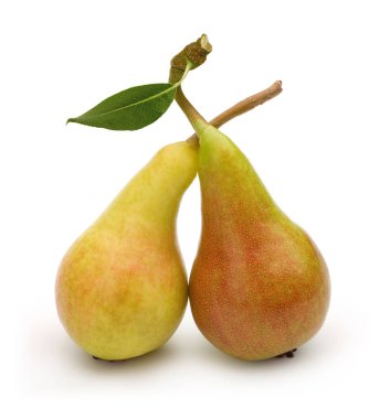 Armut ve beyaz arka plan üzerinde izole yaprak