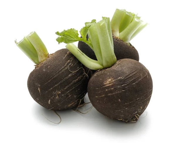 Black Radish Roots Isolated White Background — 스톡 사진