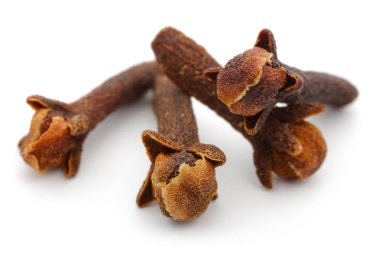 Kuru karanfil tomurcukları beyaz arka plan üzerinde izole. Makro çekim.
