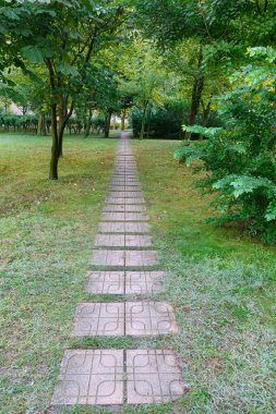 Geçit park yeşil ağaçların arasında