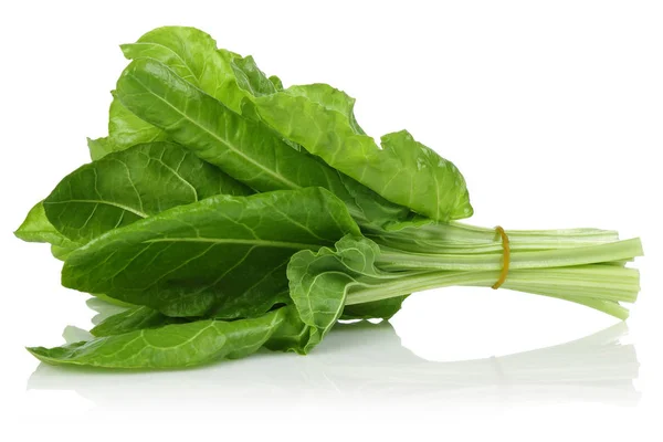 Fresh Chard Leaves Isolated White Background — Stock Photo, Image