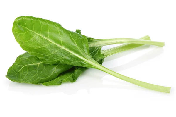 Fresh Chard Leaves Isolated White Background — Stock Photo, Image