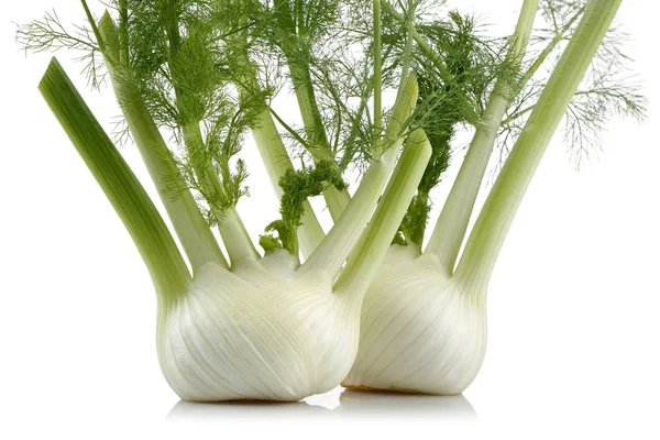 Fresh Fennel Bulb Leaves Isolated White Background — Stock Photo, Image