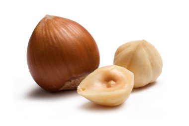 Beyaz arka plan üzerinde izole fındık. Makro, stüdyo vurdu.