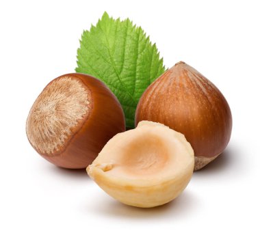 Fındık ve beyaz arka plan üzerinde izole yaprak