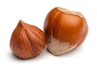 Beyaz arka plan üzerinde izole fındık. Makro, stüdyo vurdu.