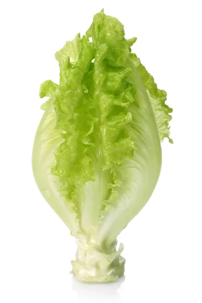 Friss Zöld Saláta Izolált Fehér Háttér — Stock Fotó