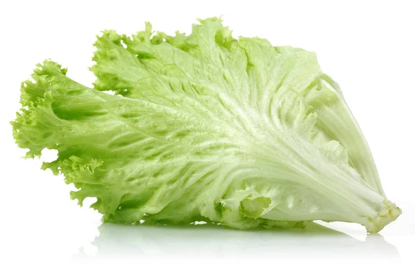 Fresh Green Lettuce Isolated White Background — Stock Photo, Image