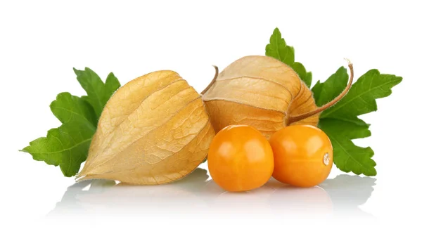 Physalis Fruit Golden Berry Leaves Isolated White Background — Stock Photo, Image