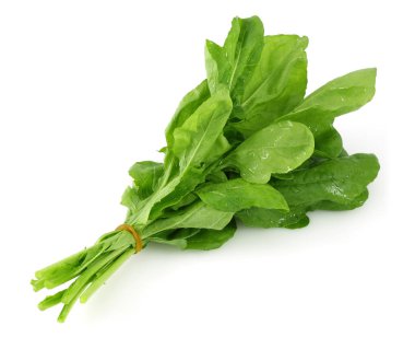 Taze rucola beyaz arka plan üzerinde izole demet