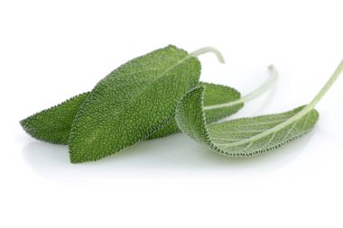 Beyaz arka plan üzerinde izole yeşil adaçayı yaprakları