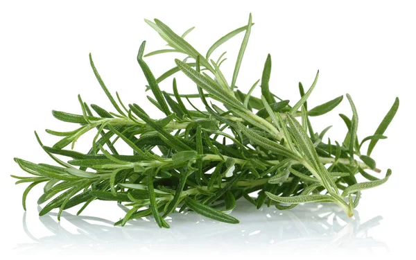 Fresh Rosemary Isolated White Background — Stock Photo, Image