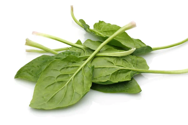 Fresh Spinach Isolated White Background — Stock Photo, Image