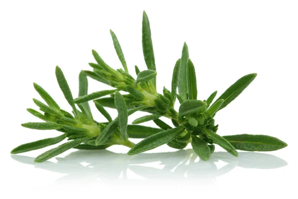 Fresh Green Thyme Isolated White Background — Stock Photo, Image