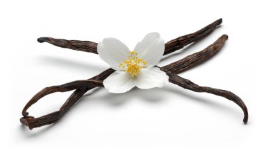 Beyaz arka plan üzerinde izole Yasemin çiçekleri ile vanilya çekirdeği