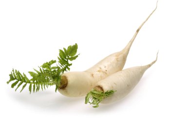 Beyaz arka plan üzerinde izole bütün daikon beyaz turp