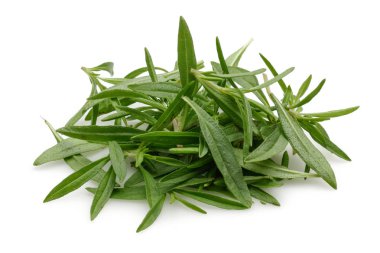 Beyaz arkaplanda izole edilmiş taze yeşil kekik