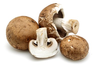 Kestane mantarı izole üzerinde beyaz arka plan