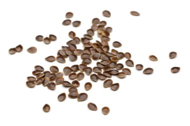 Beyaz arka plan üzerinde izole ısırgan tohumu yığını