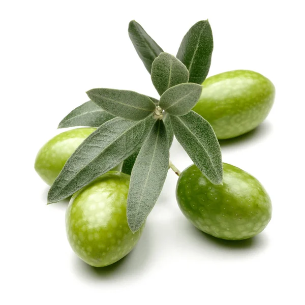 Olive Verdi Foglie Isolate Fondo Bianco — Foto Stock