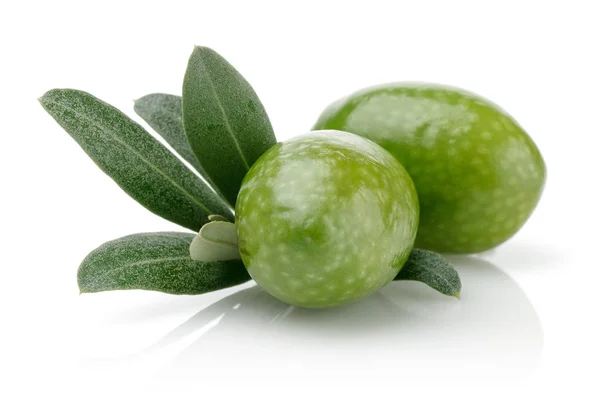 Olive Verdi Foglie Isolate Fondo Bianco — Foto Stock