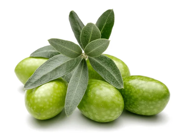 Olive Verdi Foglie Isolate Fondo Bianco — Foto Stock