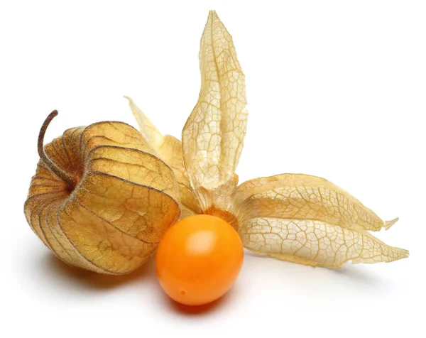 Physalis Frutta Bacca Oro Isolato Sfondo Bianco — Foto Stock