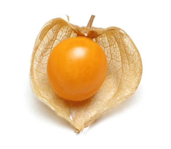 Fruta Physalis Baga Dourada Isolada Sobre Fundo Branco — Fotografia de Stock