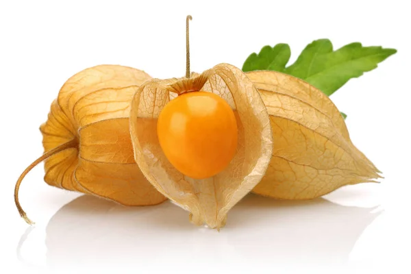 Physalis Frutta Bacca Oro Foglia Isolata Sfondo Bianco — Foto Stock