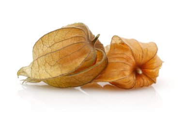 Physalis meyve ya da golden berry beyaz arka plan üzerinde izole