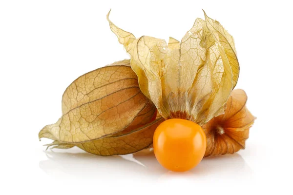 Physalis Frutta Bacca Oro Isolato Sfondo Bianco — Foto Stock