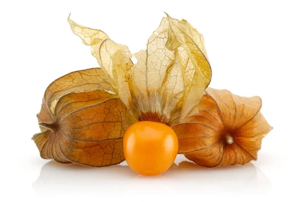 Physalis Frutta Bacca Oro Isolato Sfondo Bianco — Foto Stock