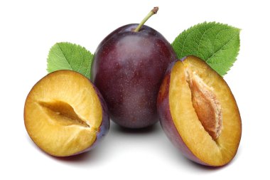 Beyaz arka plan üzerinde izole yaprak Damson Erik